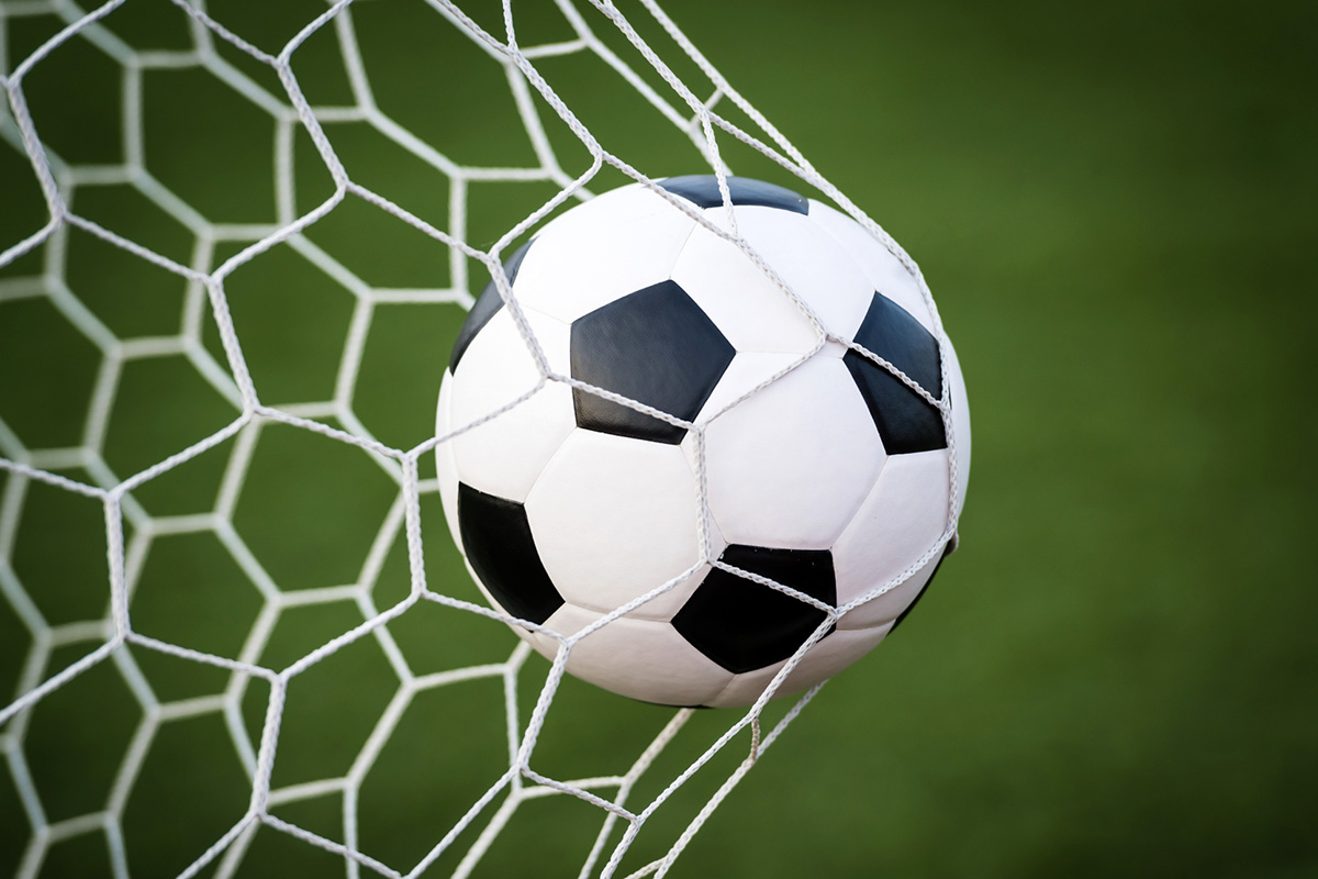 Soccer Ball in Net