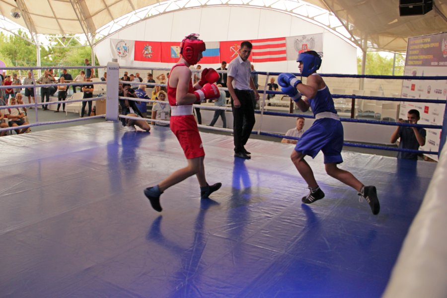 В Севастополе проходит турнир по боксу на кубок губернатора города