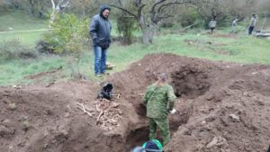 На Максимовой даче нашли могилу с казнёнными в годы войны мирными жителями